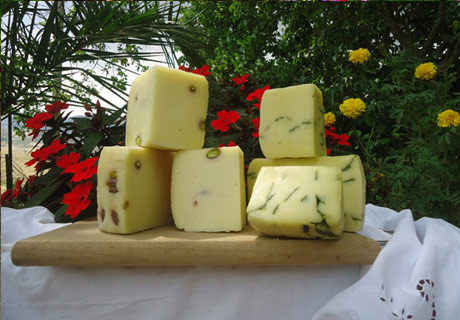 Formaggio Pecorino Bio Primo Sale
